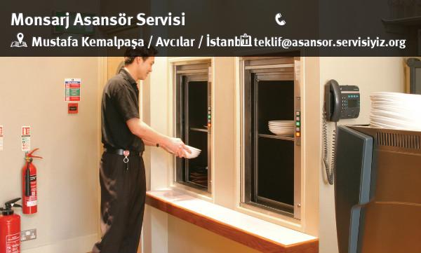 Mustafa Kemalpaşa Monsarj Asansör Servisi
