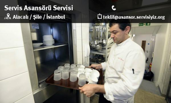Alacalı Servis Asansörü Servisi