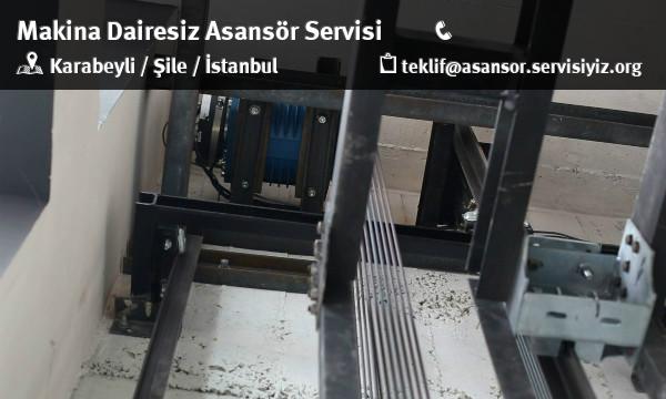 Karabeyli Makina Dairesiz Asansör Servisi