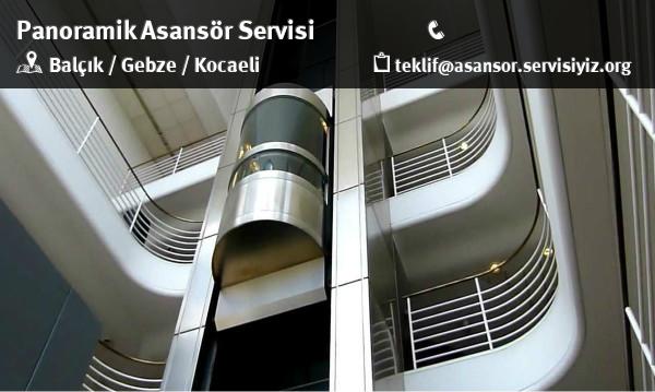 Balçık Panoramik Asansör Servisi